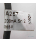 ipf electronic Sensor IB08A257 NOV