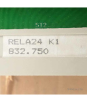 Heinen Relaiskarte RELA24 K1 832.750 OVP