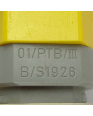 AFRISO Grenzwertgeber GWG23-Ro1000 46117 GEB