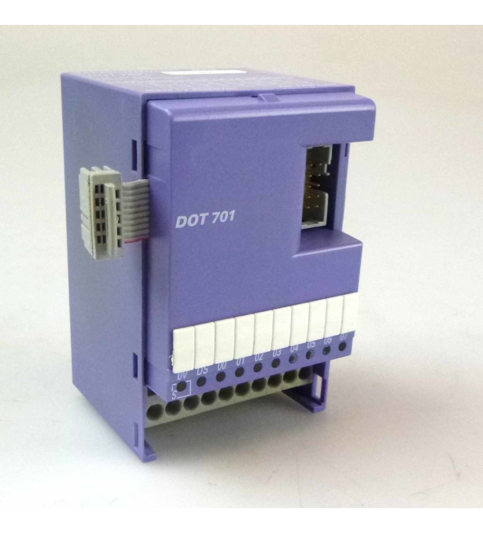Selectron Selecontrol Digital Output Module DOT 701 GEB