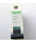 Schneider Electric Leistungsschutzschalter B1A C60 Multi9 24110 NOV