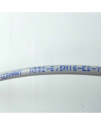 Pepperl+Fuchs induktiver Sensor NBB2-6,5M16-E2-Y 217845 OVP
