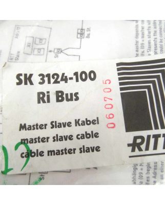 RITTAL Master Slave Kabel SK 3124-100 Ri Bus OVP