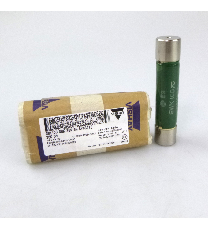 Vishay Drahtwiderstand GWK100 GDK 36K 5% BV06216 OVP