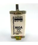 Lindner Vollschutz NH00 SGP 160A 500V 17999.16078 OVP