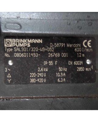 Brinkmann Tauchpumpe SAL901/320-W9+052 0806011493-26768001 600 l/min NOV