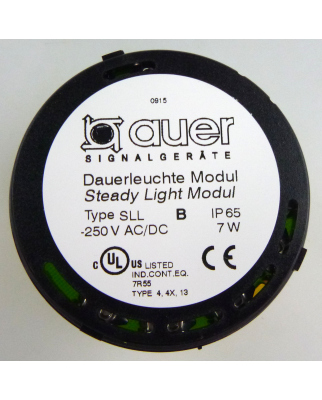 Auer Dauerleuchte SLL-250VAC/DC 210507900 gelb/schwarz OVP
