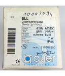 Auer Dauerleuchte SLL-250VAC/DC 210507900 gelb/schwarz OVP