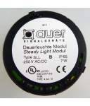Auer Dauerleuchte SLL-250VAC/DC 210507900 gelb/schwarz OVP