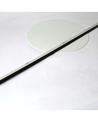 Mink Leistenbürste STL3002-K2 1000x35x6mm...