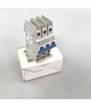 Allen Bradley Leitungsschutzschalter 1489-M3D060 Ser.D OVP