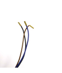 CONTRINEX Induktiver Näherungsschalter DW-AD-503-065 OVP
