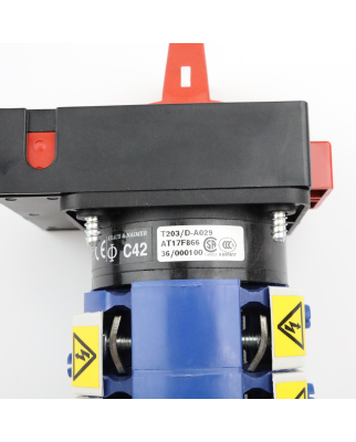 Kraus&Naimer Hauptschalter C42 T203/D-A029 NOV