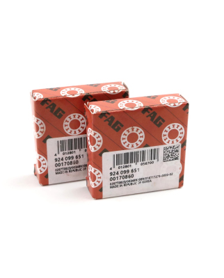 FAG Kugellager Rillenkugellager 6005-2Z (2Stk.) OVP