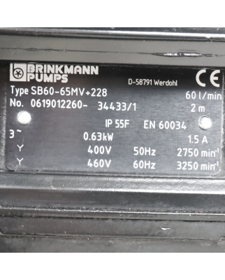 Brinkmann Saugpumpe SB60-65MV+228 60 l/min 2m NOV