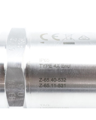 Endress+Hauser Liquiphant FTL31 Grenzschalter FTL31-1RJ0/0 OVP