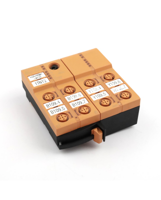 ifm electronic AS-Interface Modul AC5209 ClassicLine 4DI...