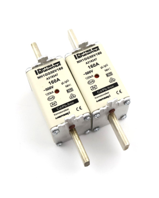 Ferraz-Shawmut Mersen Sicherungen NH1GG50V160 160A 500V (2Stk.) GEB