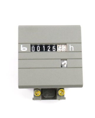 theben Betriebsstundenzähler 621-07-3 GEB