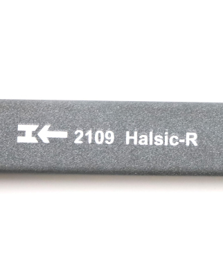 Morgan Advanced Materials RSIC-Balken 2109 Halsic-R...