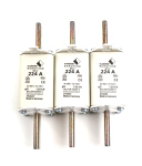 M.Schneider Sicherungseinsatz NH-2 AC500V gG 372622 (3Stk.) OVP