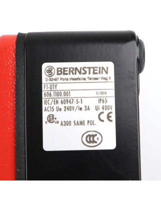 BERNSTEIN Fußschalter F1-U1Y 6061100001 OVP