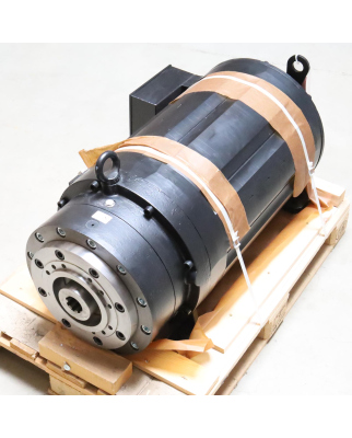 Baumüller Torquemotor...