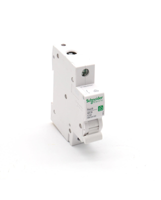 Schneider Electric Leitungsschutzschalter R9F24132 NOV