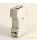 Siemens Leitungsschutzschalter 5SX2106-6 + 5SX9100HS GEB