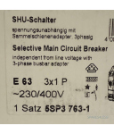 Siemens Haupt-Leitungsschutzschalter 5SP3 763-1 OVP